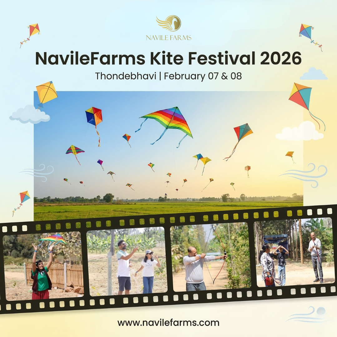 Kite Festival at Vaig Housing